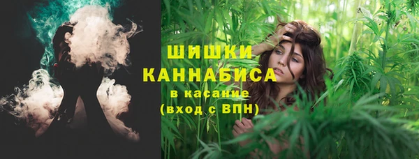 молекула духа Михайловка